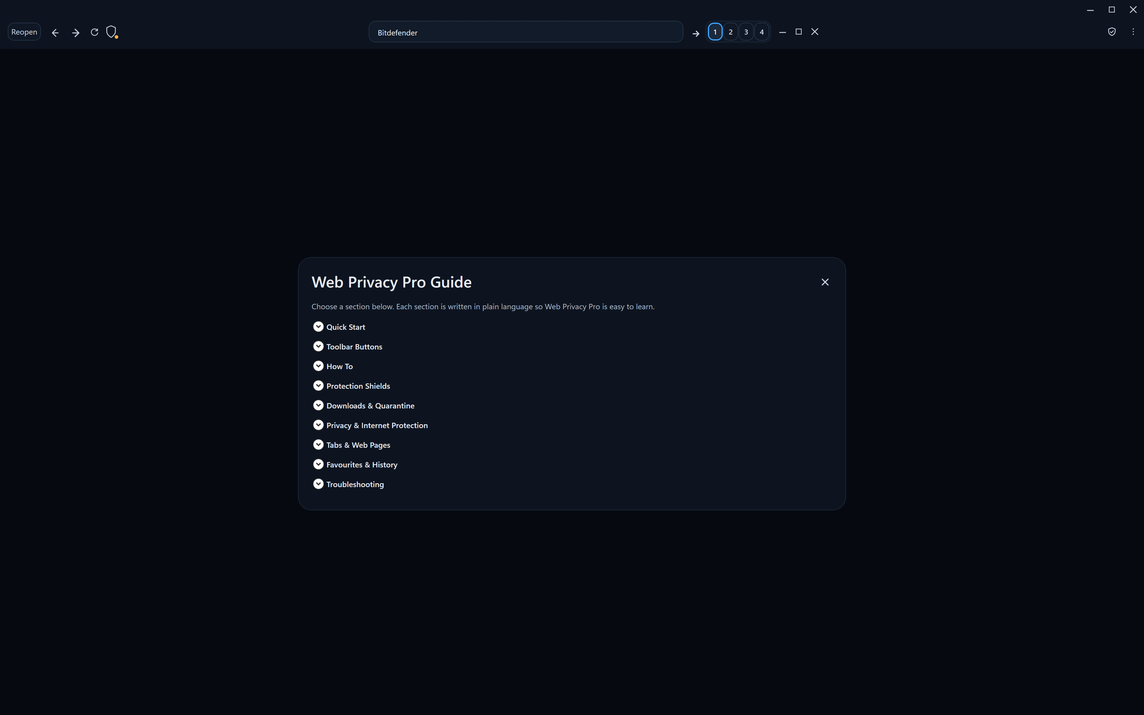 Web Privacy Pro built-in guide in dark theme